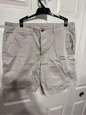 American Eagle Outfitters Men's Light Beige Flat Front Shorts